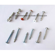 Color Screw Painted Bolts Fastener Roofing Screw